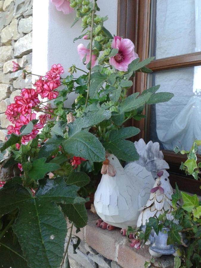 Magiche Langhe Bed and Breakfast Paroldo Εξωτερικό φωτογραφία